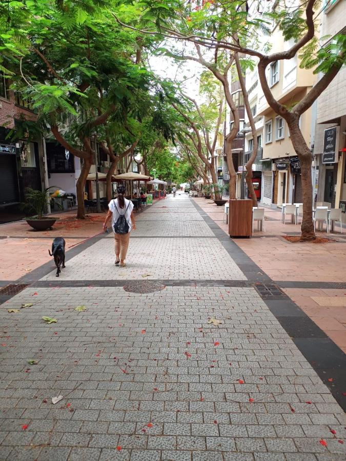 Center Santa Cruz, Alojamiento Centrico Con Gran Terraza, Cocina , Salon Y Banos, Todo Privado 외부 사진